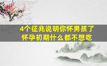 4个征兆说明你怀男孩了 怀孕初期什么都不想吃